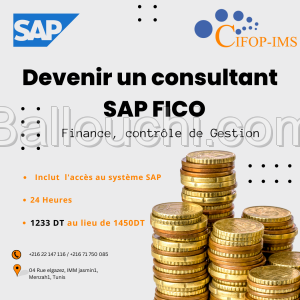 Formation SAP FICO