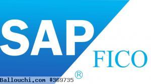 Formation SAP FICO