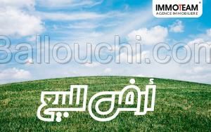 للبيع قطعة أرض 1041 م² 29.256.483