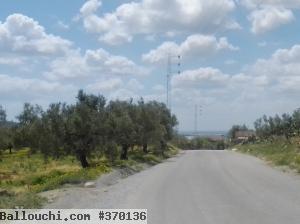 500 m2 à 5 km d'Hammamet centre