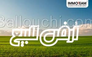 للبيع قطعة أرض 29.256.483