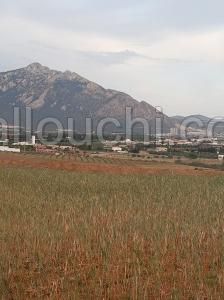 Terrain 2197m2 Mornag Ksibi