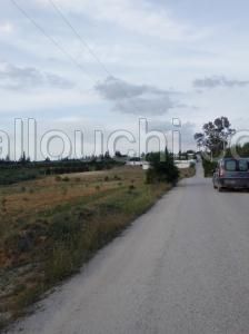 2000 m2 à 6 km d'Hammamet