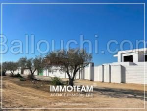 terrain a vendre Rania 29256483