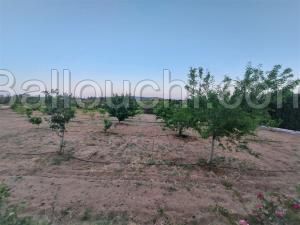 A vendre un Terrain ( Sénia )