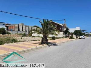 VT820Terrain d’habitation 199 m² à el mansourah kelibia