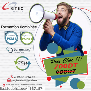 Promo Formation Scrum Master PSM1 & Product Owner PSPO1
