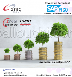 Promo 20% Formation SAP FICO