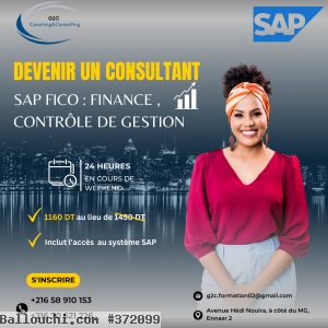 Formation SAP FICO