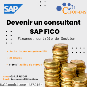 Formation Certification SAP FICO : Finance, Comptabilité & Gestion