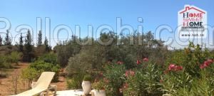 Villa Roseli avec piscine à Louer à Nabeul