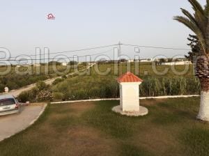 Korba,11 hectares à vendre sur la grande route