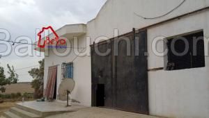 : korba ; 2 hectares et 7000m² avec deux maisons sur le goudronne a 320mdt