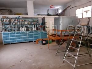 korba ferme 6hect contient tt vos rêves