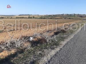 korba , un terrain de 5hectares6000m² sur le goudronne