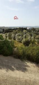 :Nabeul,Tazerka,10 000 m² avec vue mer