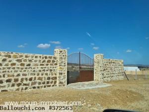 TERRAIN MZIRAA Hammamet Birbouregba I T1024