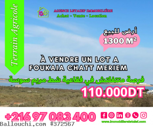 un terrain agricole de belle vue a foukaia chatt meriem