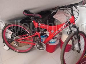 Vélo Jerle 2u