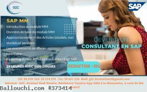Formation SAP MM