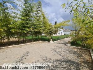 Villa Romeo AL3134 Hammamet zone theatre