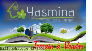 Terrain TH661 Craxi Hammamet :