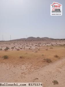 Terrain Agricole MACARENA à Vendre à Nadhour Kasserine