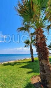L377 Appartement PLAYA PLAYA