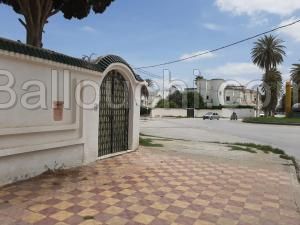 Une villa de 500m avec un emplacement excellent!