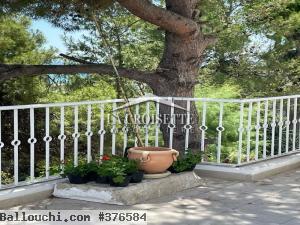 Villa s+3 vue sur mer à la Marsa MVL0515