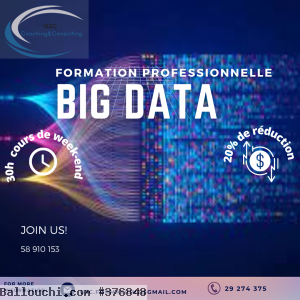 Concepteur/Développeur Big Data