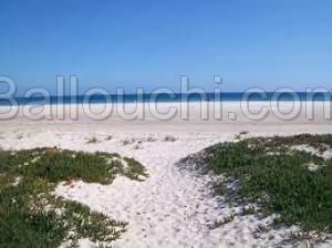Magnifique terrain de 400 m². Terrain pieds dans l'eau ( 1 ere position)