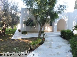 DAR OLIVO AL à Hammamet AL2304