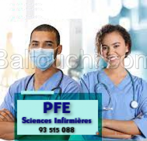 PFE en Sciences Infirmières