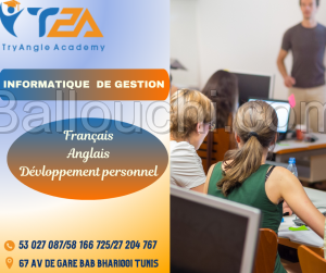 informatique de gestion