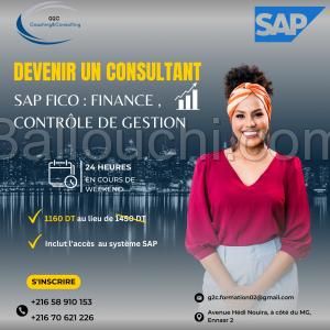 Formation SAP-FICO