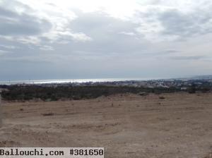 1 hectare à 5 km d'Hammamet