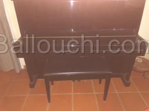 Piano d'études Strauss
