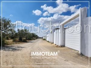 A vendre un superbe terrain à 4 km de Yasmine Hammamet route Bouficha km 71 côté plage