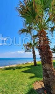 V407 Appartement PALMA PALMA HAMMAMET
