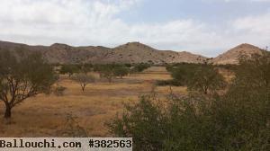 Terrain 7 hectares