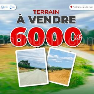 terrain agricole de 6000 m² à Hammamet