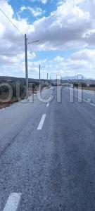 Terrain agricole 8000m² Ain Safsaf
