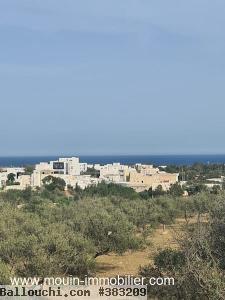 TERRAIN LORA Hammamet Nord Mrezka T1031