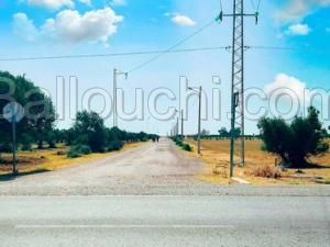 Terrain de 600 m² à Hammmaet