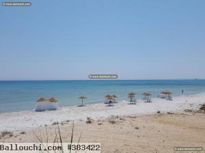 Des lots a vendre deuxième position de la plage (chat l9ibli )
