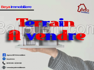 Terrain NOURA VTK030