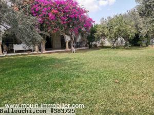 VILLA BERNE Hammamet Zone Théâtre AL3227