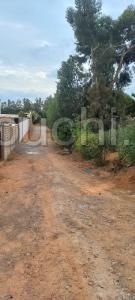 T200 Terrain BORA BIR BOUREGBA