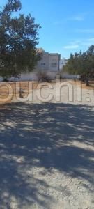 T197 Terrain RADISSON HAMMAMET